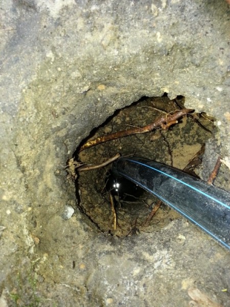 Установка спиц